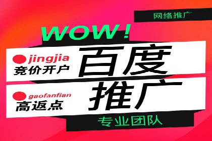 竞价托管sem的胜利果实：某零售商的营销策略